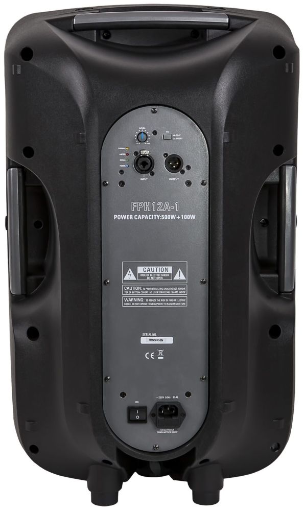 Активная акустическая система SoundKing FPH12A-1