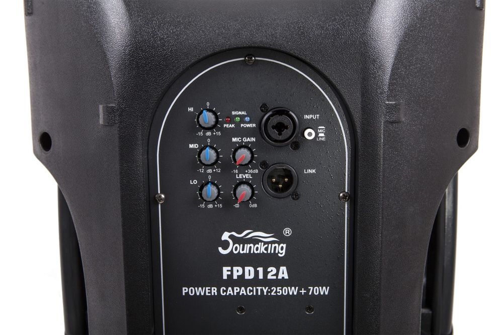 Активная акустическая система SoundKing FPD12A
