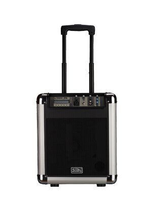 Акустический комплект Soundking PA8M